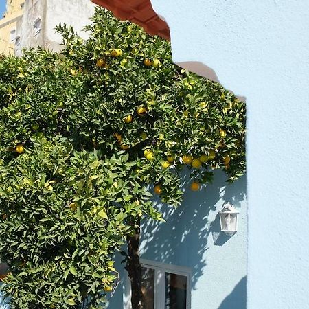 Proa D'Alfama Guest House Lisboa Exteriér fotografie